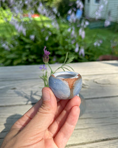 Bud Vase No. 3 in Tulip